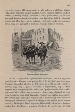 Image of the Page - 215 - in Az Osztrák-Magyar Monarchia írásban és képben - Az Osztrák Tengermellék és Dalmáczia (Tengermellék), Volume 10