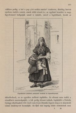 Image of the Page - 217 - in Az Osztrák-Magyar Monarchia írásban és képben - Az Osztrák Tengermellék és Dalmáczia (Tengermellék), Volume 10