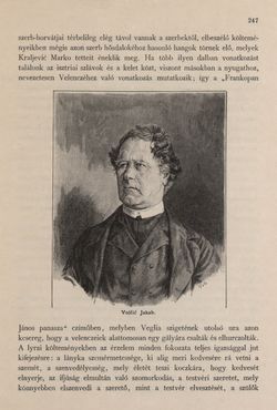 Image of the Page - 247 - in Az Osztrák-Magyar Monarchia írásban és képben - Az Osztrák Tengermellék és Dalmáczia (Tengermellék), Volume 10