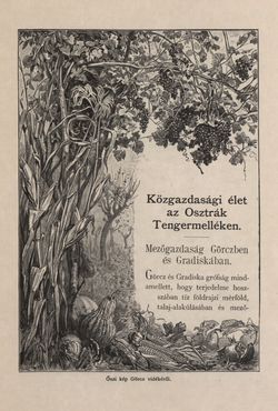 Image of the Page - 287 - in Az Osztrák-Magyar Monarchia írásban és képben - Az Osztrák Tengermellék és Dalmáczia (Tengermellék), Volume 10