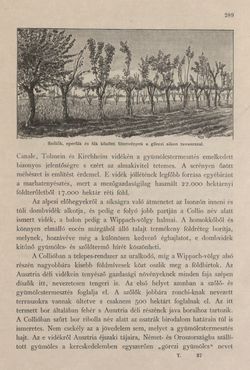 Image of the Page - 289 - in Az Osztrák-Magyar Monarchia írásban és képben - Az Osztrák Tengermellék és Dalmáczia (Tengermellék), Volume 10