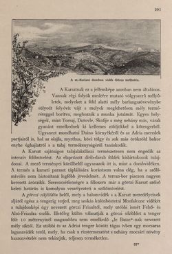 Image of the Page - 291 - in Az Osztrák-Magyar Monarchia írásban és képben - Az Osztrák Tengermellék és Dalmáczia (Tengermellék), Volume 10