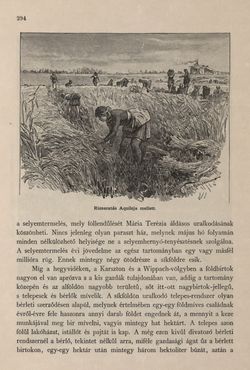 Image of the Page - 294 - in Az Osztrák-Magyar Monarchia írásban és képben - Az Osztrák Tengermellék és Dalmáczia (Tengermellék), Volume 10