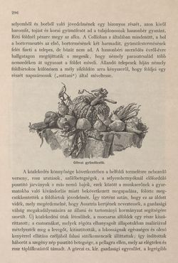 Image of the Page - 296 - in Az Osztrák-Magyar Monarchia írásban és képben - Az Osztrák Tengermellék és Dalmáczia (Tengermellék), Volume 10