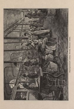 Bild der Seite - 301 - in Az Osztrák-Magyar Monarchia írásban és képben - Az Osztrák Tengermellék és Dalmáczia (Tengermellék), Band 10