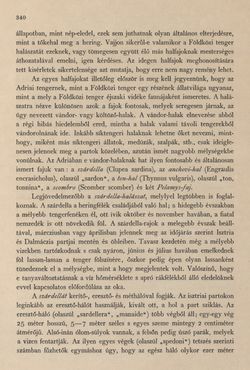 Image of the Page - 340 - in Az Osztrák-Magyar Monarchia írásban és képben - Az Osztrák Tengermellék és Dalmáczia (Tengermellék), Volume 10