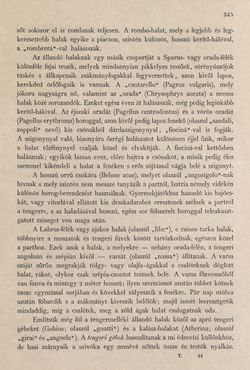 Image of the Page - 345 - in Az Osztrák-Magyar Monarchia írásban és képben - Az Osztrák Tengermellék és Dalmáczia (Tengermellék), Volume 10