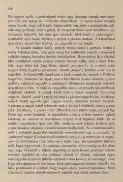 Image of the Page - 346 - in Az Osztrák-Magyar Monarchia írásban és képben - Az Osztrák Tengermellék és Dalmáczia (Tengermellék), Volume 10