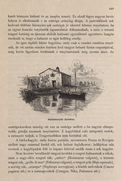 Image of the Page - 349 - in Az Osztrák-Magyar Monarchia írásban és képben - Az Osztrák Tengermellék és Dalmáczia (Tengermellék), Volume 10