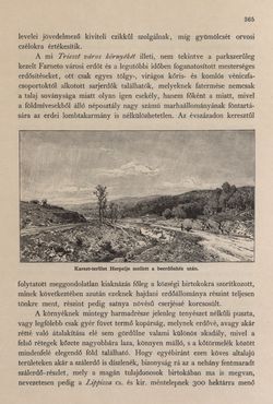 Bild der Seite - 365 - in Az Osztrák-Magyar Monarchia írásban és képben - Az Osztrák Tengermellék és Dalmáczia (Tengermellék), Band 10