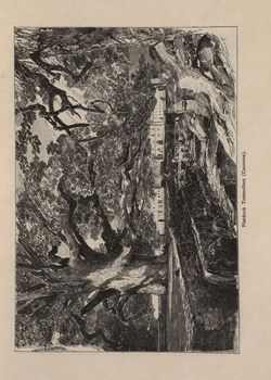 Bild der Seite - 397 - in Az Osztrák-Magyar Monarchia írásban és képben,  - Az Osztrák Tengermellék és Dalmáczia (Dalmáczia), Band 11