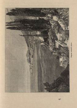 Image of the Page - 403 - in Az Osztrák-Magyar Monarchia írásban és képben,  - Az Osztrák Tengermellék és Dalmáczia (Dalmáczia), Volume 11