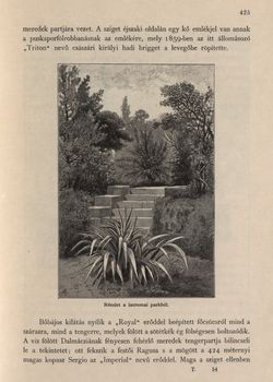 Bild der Seite - 425 - in Az Osztrák-Magyar Monarchia írásban és képben,  - Az Osztrák Tengermellék és Dalmáczia (Dalmáczia), Band 11