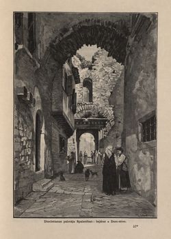 Bild der Seite - 451 - in Az Osztrák-Magyar Monarchia írásban és képben,  - Az Osztrák Tengermellék és Dalmáczia (Dalmáczia), Band 11