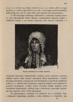 Image of the Page - 499 - in Az Osztrák-Magyar Monarchia írásban és képben,  - Az Osztrák Tengermellék és Dalmáczia (Dalmáczia), Volume 11