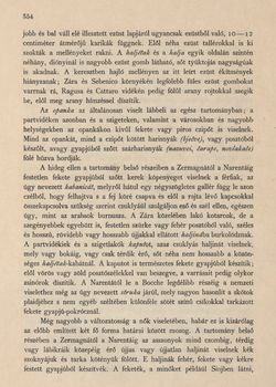 Bild der Seite - 554 - in Az Osztrák-Magyar Monarchia írásban és képben,  - Az Osztrák Tengermellék és Dalmáczia (Dalmáczia), Band 11