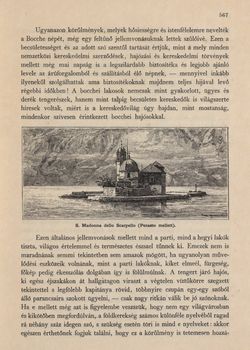 Bild der Seite - 567 - in Az Osztrák-Magyar Monarchia írásban és képben,  - Az Osztrák Tengermellék és Dalmáczia (Dalmáczia), Band 11