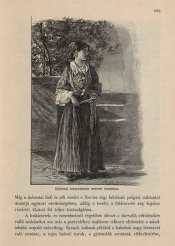 Image of the Page - 583 - in Az Osztrák-Magyar Monarchia írásban és képben,  - Az Osztrák Tengermellék és Dalmáczia (Dalmáczia), Volume 11