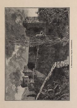 Image of the Page - 663 - in Az Osztrák-Magyar Monarchia írásban és képben,  - Az Osztrák Tengermellék és Dalmáczia (Dalmáczia), Volume 11