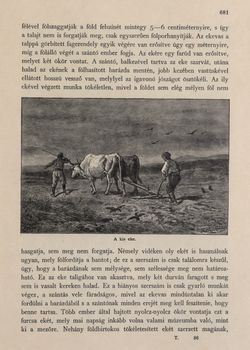 Image of the Page - 681 - in Az Osztrák-Magyar Monarchia írásban és képben,  - Az Osztrák Tengermellék és Dalmáczia (Dalmáczia), Volume 11