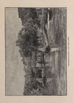 Image of the Page - 687 - in Az Osztrák-Magyar Monarchia írásban és képben,  - Az Osztrák Tengermellék és Dalmáczia (Dalmáczia), Volume 11