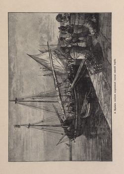 Image of the Page - 695 - in Az Osztrák-Magyar Monarchia írásban és képben,  - Az Osztrák Tengermellék és Dalmáczia (Dalmáczia), Volume 11