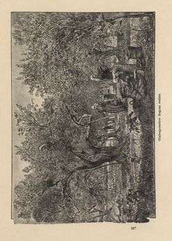 Image of the Page - 699 - in Az Osztrák-Magyar Monarchia írásban és képben,  - Az Osztrák Tengermellék és Dalmáczia (Dalmáczia), Volume 11