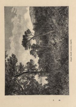 Image of the Page - 705 - in Az Osztrák-Magyar Monarchia írásban és képben,  - Az Osztrák Tengermellék és Dalmáczia (Dalmáczia), Volume 11