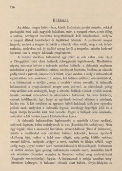 Image of the Page - 716 - in Az Osztrák-Magyar Monarchia írásban és képben,  - Az Osztrák Tengermellék és Dalmáczia (Dalmáczia), Volume 11