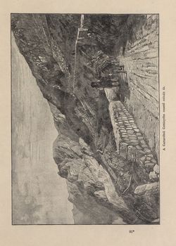 Image of the Page - 723 - in Az Osztrák-Magyar Monarchia írásban és képben,  - Az Osztrák Tengermellék és Dalmáczia (Dalmáczia), Volume 11