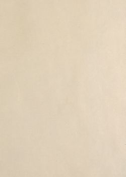 Image of the Page - (eh00001) - in Az Osztrák-Magyar Monarchia írásban és képben,  - Az Osztrák Tengermellék és Dalmáczia (Dalmáczia), Volume 11