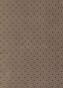 Image of the Page - (eh00002) - in Az Osztrák-Magyar Monarchia írásban és képben,  - Az Osztrák Tengermellék és Dalmáczia (Dalmáczia), Volume 11