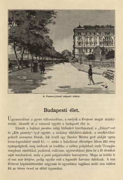 Image of the Page - 119 - in Az Osztrák-Magyar Monarchia írásban és képben - Magyarország III (1), Volume 12/1