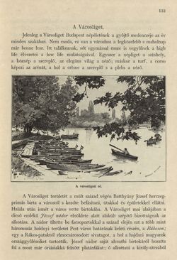 Bild der Seite - 133 - in Az Osztrák-Magyar Monarchia írásban és képben - Magyarország III (1), Band 12/1