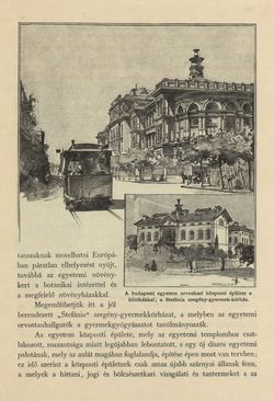 Image of the Page - 197 - in Az Osztrák-Magyar Monarchia írásban és képben - Magyarország III (1), Volume 12/1