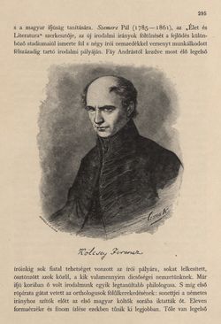 Image of the Page - 295 - in Az Osztrák-Magyar Monarchia írásban és képben - Magyarország III (1), Volume 12/1