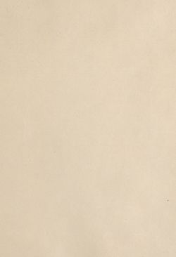 Image of the Page - (eh00001) - in Az Osztrák-Magyar Monarchia írásban és képben - Magyarország III (1), Volume 12/1