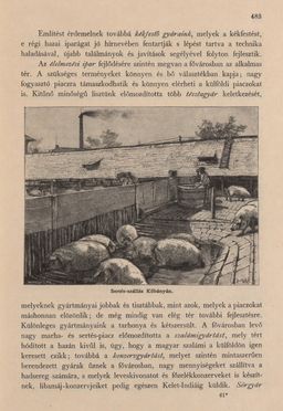 Image of the Page - 483 - in Az Osztrák-Magyar Monarchia írásban és képben - Magyarország III (2), Volume 12/2