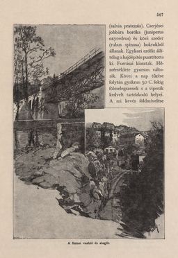 Image of the Page - 567 - in Az Osztrák-Magyar Monarchia írásban és képben - Magyarország III (2), Volume 12/2