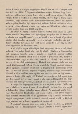 Image of the Page - 603 - in Az Osztrák-Magyar Monarchia írásban és képben - Magyarország III (2), Volume 12/2