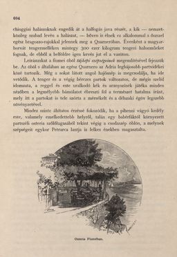 Image of the Page - 604 - in Az Osztrák-Magyar Monarchia írásban és képben - Magyarország III (2), Volume 12/2