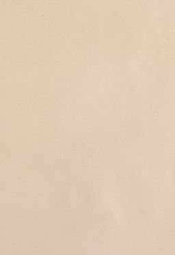 Image of the Page - (00000303) - in Az Osztrák-Magyar Monarchia írásban és képben - Magyarország III (2), Volume 12/2