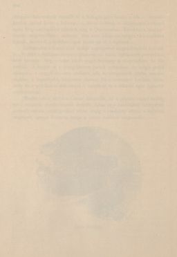 Image of the Page - (00000304) - in Az Osztrák-Magyar Monarchia írásban és képben - Magyarország III (2), Volume 12/2