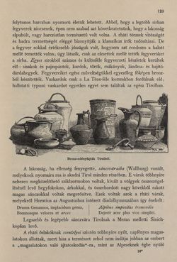 Image of the Page - 123 - in Az Osztrák-Magyar Monarchia írásban és képben - Tirol és Vorarlberg (1), Volume 13/1