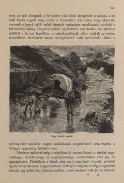 Image of the Page - 241 - in Az Osztrák-Magyar Monarchia írásban és képben - Tirol és Vorarlberg (1), Volume 13/1