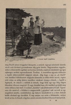 Bild der Seite - 265 - in Az Osztrák-Magyar Monarchia írásban és képben - Tirol és Vorarlberg (1), Band 13/1