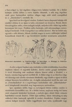 Image of the Page - 284 - in Az Osztrák-Magyar Monarchia írásban és képben - Tirol és Vorarlberg (1), Volume 13/1