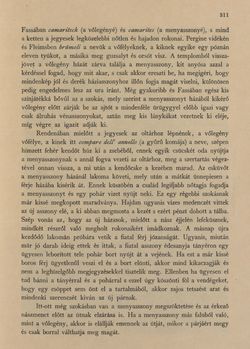 Bild der Seite - 311 - in Az Osztrák-Magyar Monarchia írásban és képben - Tirol és Vorarlberg (2), Band 13/2