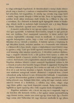 Image of the Page - 316 - in Az Osztrák-Magyar Monarchia írásban és képben - Tirol és Vorarlberg (2), Volume 13/2