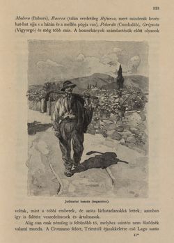 Bild der Seite - 323 - in Az Osztrák-Magyar Monarchia írásban és képben - Tirol és Vorarlberg (2), Band 13/2